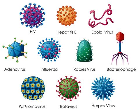 Viral Stds List Symptoms Stdgov Blog