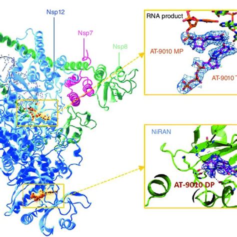 At Mechanism Of Action And Metabolism A Dual Mechanism Of Action