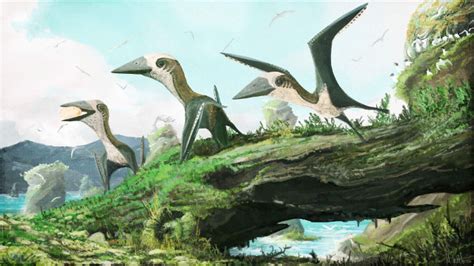 A Small Pterosaur From The Late Cretaceous Discovered In Canada
