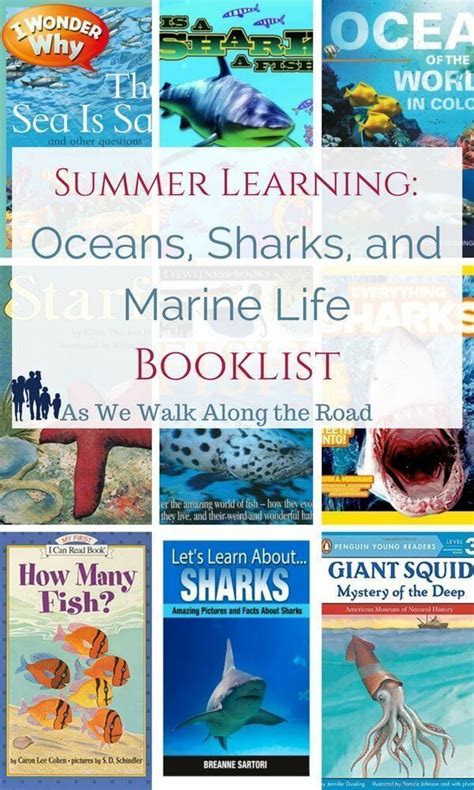 Oceans Sharks And Marine Life Booklist Summer Homeschool Summer