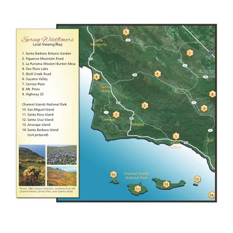 SBBG's 2013 Spring Wildflowers: local viewing map in the Santa Barbara
