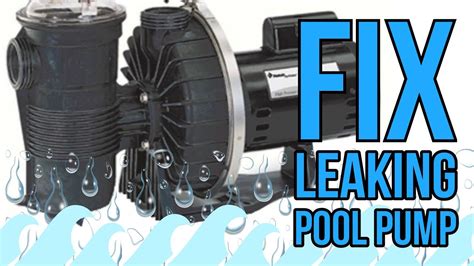 How To Fix Leaking Pool Pump Pentair Challenger Motor Shaft Seal