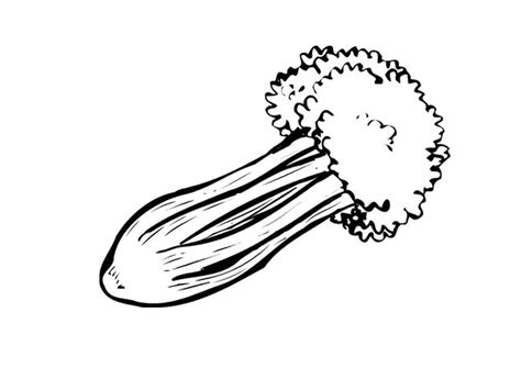 Coloring Page celery - free printable coloring pages - Img 9563