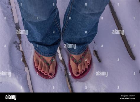 Womans Feet Standing In The Snow Wearing Flip Flops Churchill