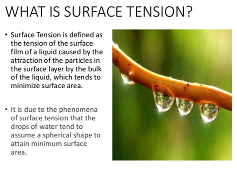 Surface Tension Movie Online In English With Subtitles 1280 Downgload