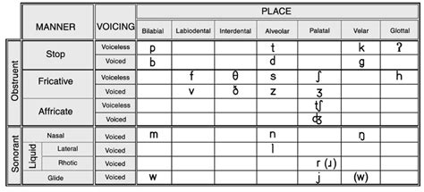 Consonants Place And Manner Of Articulation By Lilian Lee Consonant
