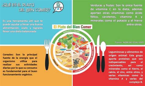 Plato Del Buen Comer Ciencia En La Hot Sex Picture