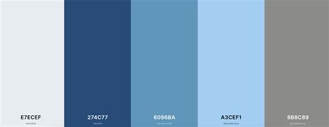 Best Luxury Color Palettes For Web Design