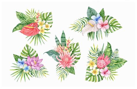Watercolor Tropical Flowers Clipart PNG Hand Painted Tropical Etsy