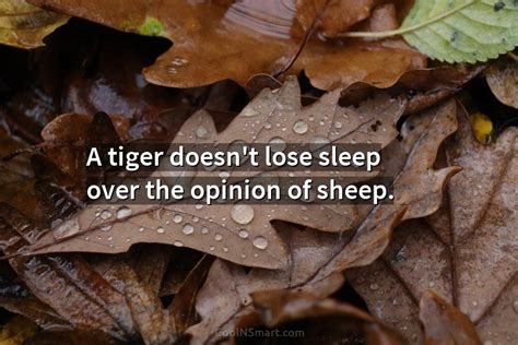 Quote A Tiger Doesnt Lose Sleep Over The Opinion Of Sheep Coolnsmart