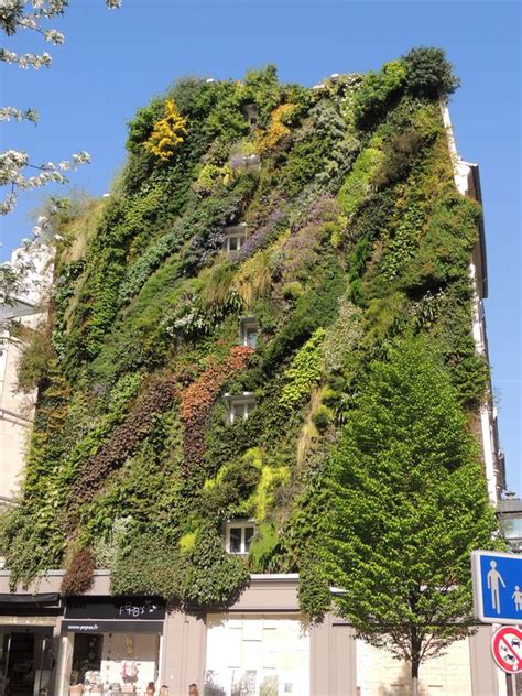 vertical gardens patrick blanc architectureau