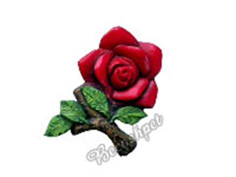 10 horst wolf, moormerlander str. 5043 Rose 2