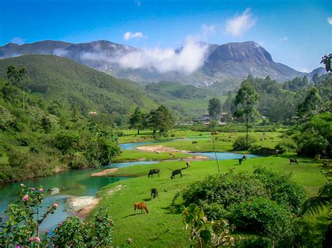 Anamudi Peak Munnar Kerala Tourism 2021 Peak Images How To Reach
