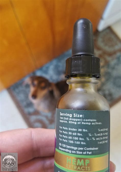 Cbd products for pets from cbd american shaman are made from high quality and terpene rich pure hemp extract! How Much CBD Oil Should I Give My Dog?