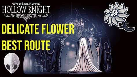 Hollow Knight Delicate Flower Best Route Youtube