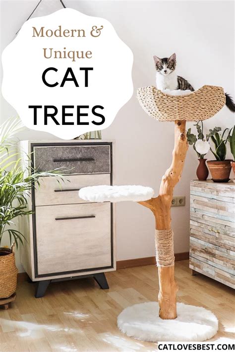 Unique Cat Trees Cool Cat Trees Modern Cat Tree Diy Cat Tree Cat