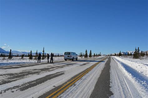 Denali Winter Drive Adventure Guided Tour From Alaskaorg