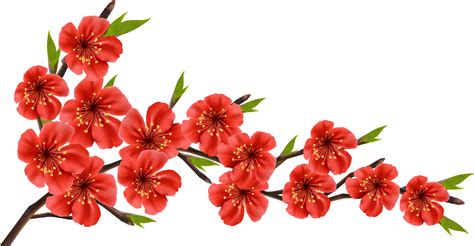Download Red Spring Branch Png Clipart Image - Cherry Blossom Red