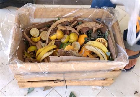 Cómo Hacer Compost En Casa Paso A Paso Y Todos Sus Beneficios Mia Fm