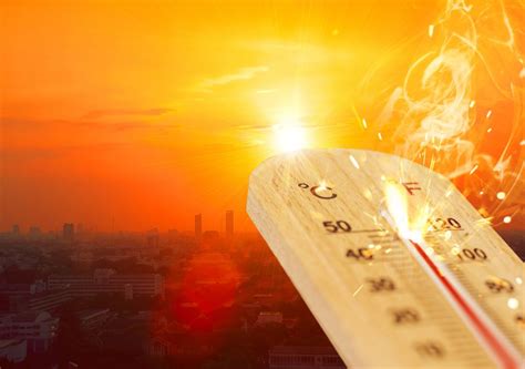 Las Olas De Calor Son Cada Vez Más Mortales Según Un Estudio