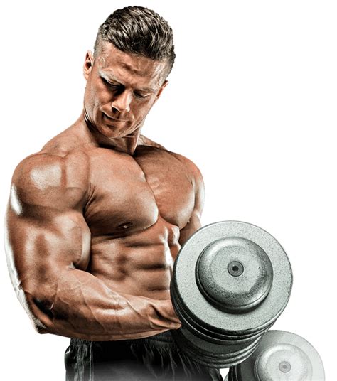 Bodybuilding Png Transparent Image Download Size 937x1061px