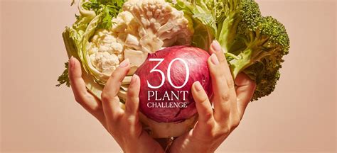 30 Plant Challenge Life Alive Organic Cafe