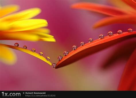 30 Colorful Nature Photographs Blog