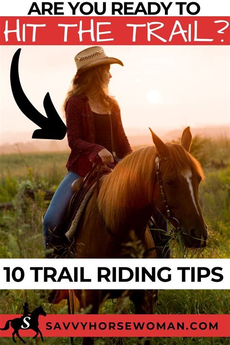 You Dont Need To Be A Seasoned Horse Rider To Enjoy Trail Riding