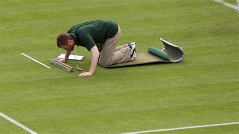 Wimbledon Grass Faces Olympic Race Against Time And Nature