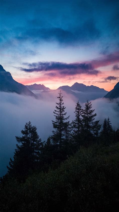 Download Wallpaper 1350x2400 Trees Mountains Clouds Fog Nature