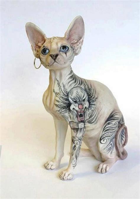 ☮ Tattoo Cat ☯ ☮ Sphynx Cat Clothes Scary Cat Sphynx Cat Tattoo