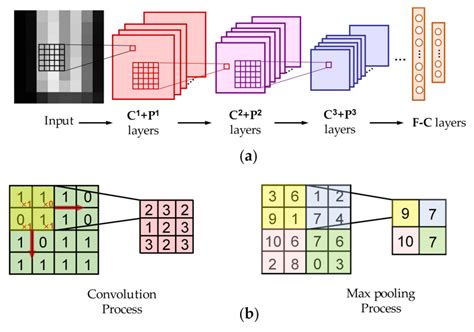 The Structure Of The Custom Convolutional Neural Netw Vrogue Co