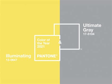Dvd with images used in the. Pantone's Color of the Year 2021 | Better Home Texas ...
