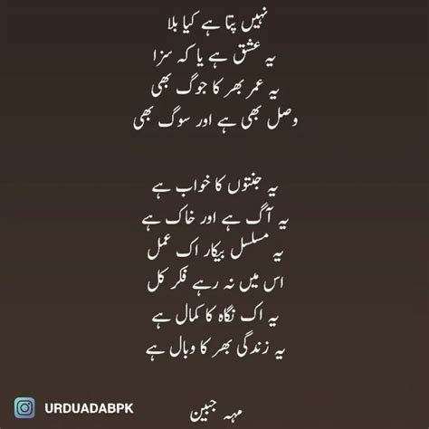 Urdu Adab Pk On Instagram Urduadabpk Urduadab Urduadabpk Urdu Urdupoetry