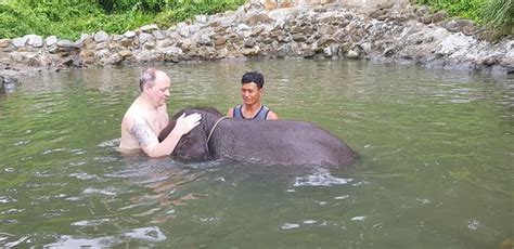 Day trip in koh chang. KokChang Safari Elephant Trekking (Kata Beach) - 2021 All ...