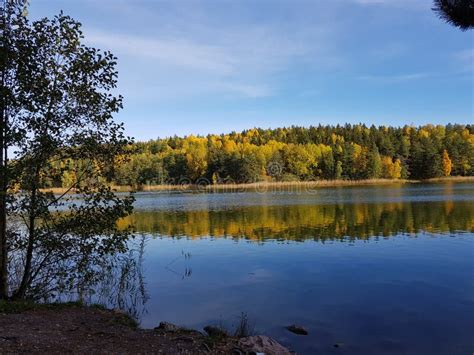 Rösjön Sweden Lake Autumn Reflection Leaves Stock Image Image Of