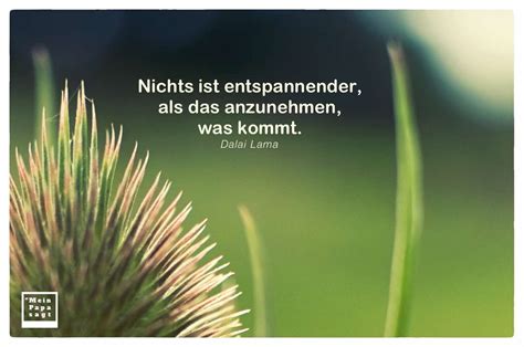 Hier finden sie zum thema dalai lama die besten 34 sprüche, zitate und weisheiten. Nichts ist entspannender, als das anzunehmen, was kommt ...