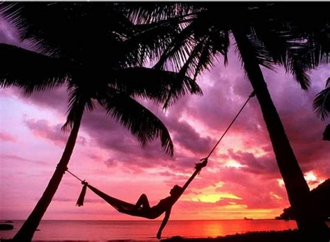 Sleep In Peace Sleep Relax Sunset Hammock Palms Beach Summer Palmtress Hd Wallpaper