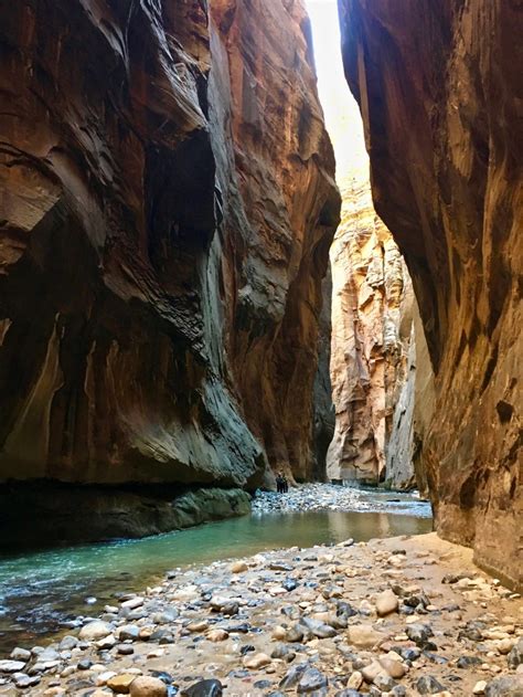 9 Things To Know For The Zion Narrows Hike Travel Guide For Zion