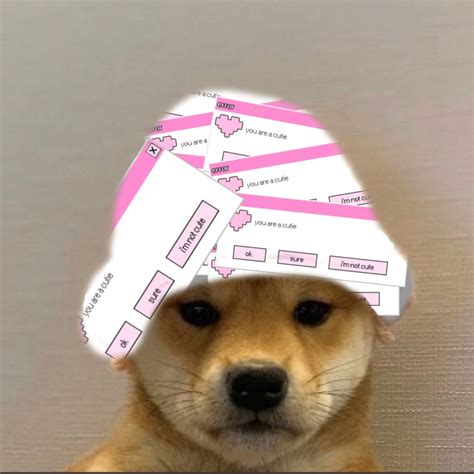 Talk, chat, hang out, and stay close with your friends and communities. Doggo Hat Boii - YouTube