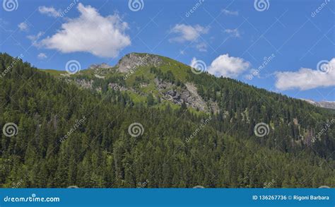 Mountain Landscape With Green Pines And Blue Sky Stock Photo Image