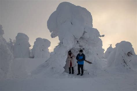 Juhyou The Japanese Snow Monsters Nearing Extinction