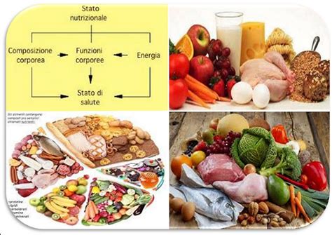 La Classificazione E Le Funzioni Dei Principi Nutritivi Germoglioverde