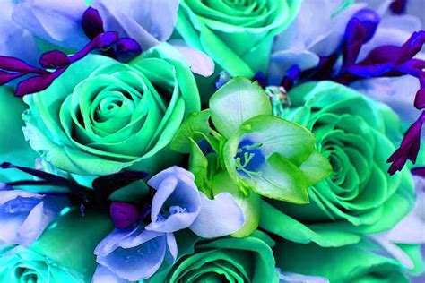 Download Mint Green Flower Wallpaper Gallery