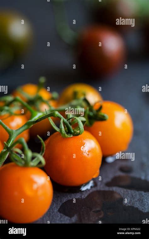 Orange Cherry Tomatoes Stock Photo Alamy
