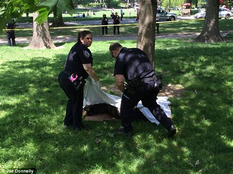 Man Found Dead Under A Tree Inside Central Park Near Columbus Circle