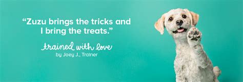 Puppy or beginner class, intermediate class and advanced class. Dog Training: Puppy and Adult Dog Training Classes | PetSmart