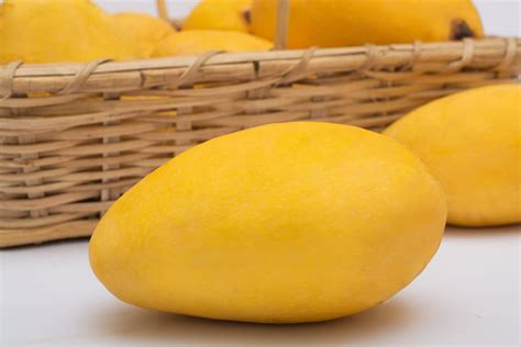 top 10 mango varieties and types mango list listaka