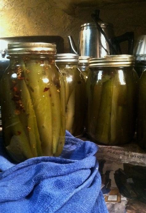 Just Made A Batch Of Old Fashioned Sweet And Spicy Crisp Pickle Spears