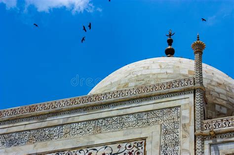 Detail Of The Dome Of The Taj Mahal With Many Birds Flying In Circle